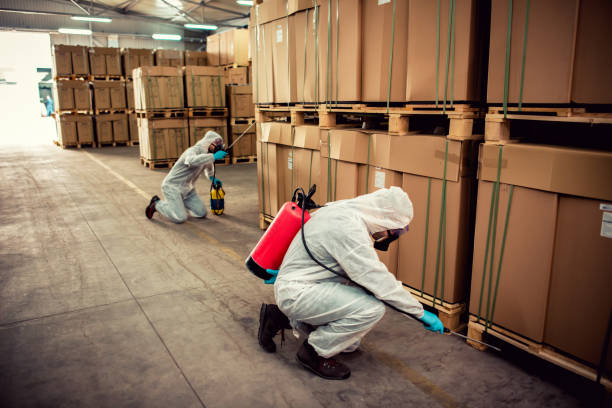 Best Best Pest Control Companies  in Cold Spring, MN