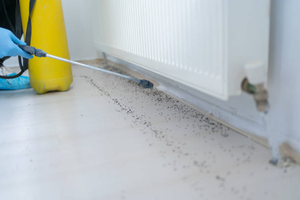 Trusted Cold Spring, MN Pest Control Experts