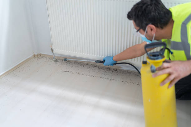 Best Local Pest Control Services  in Cold Spring, MN